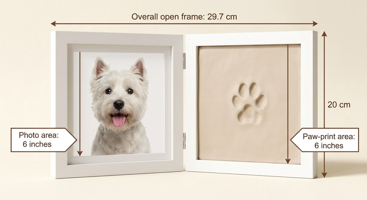Little Paw frame dimensions
